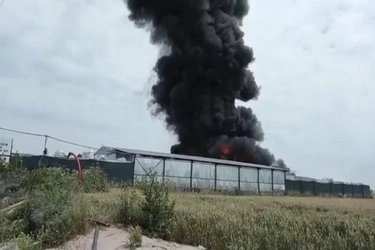 Geri dönüşüm fabrikasında yangın paniği