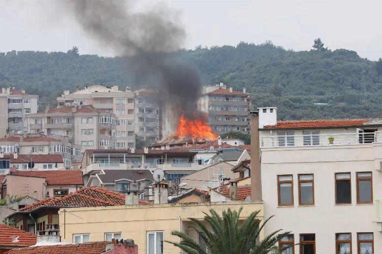 Mudanya’da yangın: Söndürme çalışmaları sürüyor