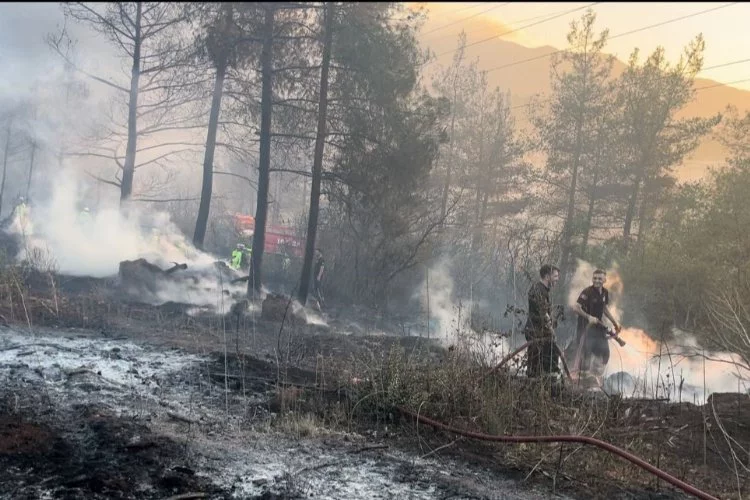 Bursa'daki orman yangını! Ekipler söndürmek için canını dişine taktı...