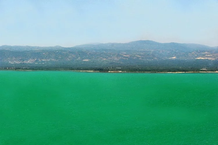 Bursa'nın en büyük gölünün rengi bambaşka oldu! Ana nedeni hiç yabancı değil!