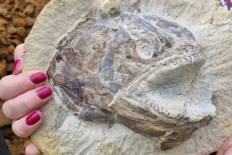 Dehşet veren keşif! Vahşi görünümlü bu fosil herkesi şoke etti