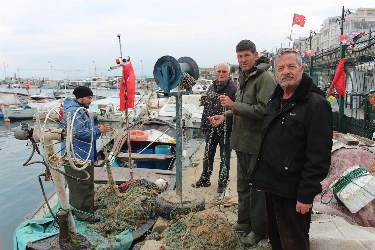 'Gemlik Körfezi büyük balıkçılara yasaklansın' talebi