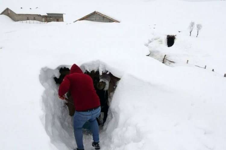 Kar nedeniyle bir köy adeta yok oldu!