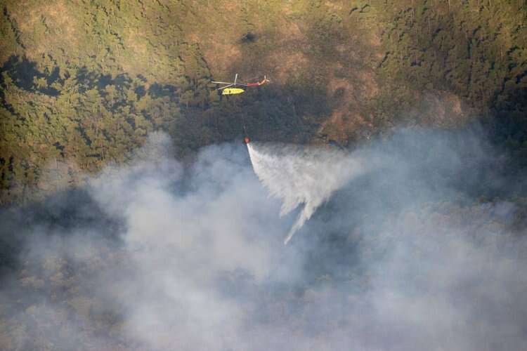 Marmaris'te orman yangını: Rüzgarın etkisiyle yeniden şiddetlendi