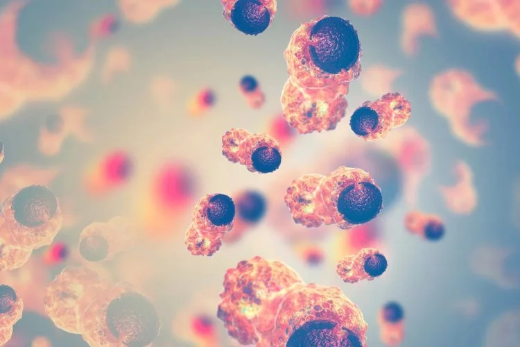 Sağlıkta çığır açan araştırma: 'Bu virüs kanser hücrelerini öldürüyor!'
