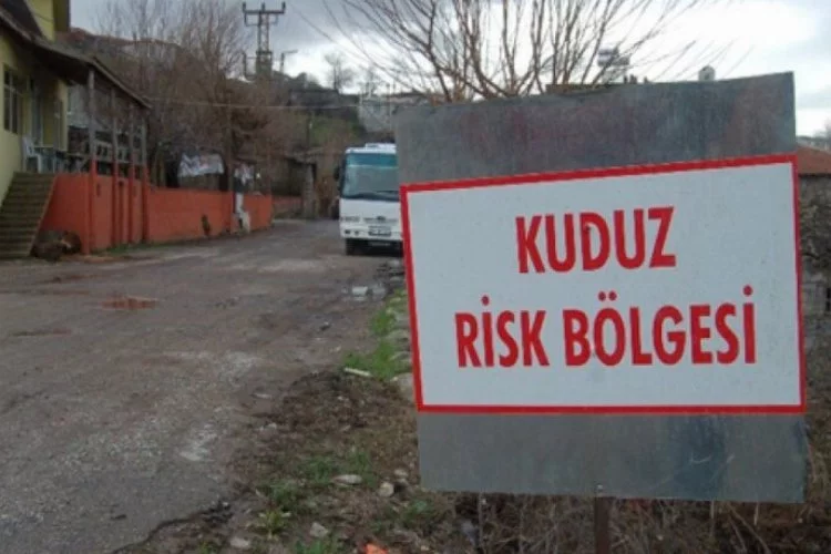 Türkiye en riskli ülkeler arasına girdi! Kuduz vakaları artışta! Mutlaka aşı yaptırın