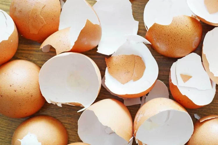 Yumurta kabuğunun zarının faydasını öğrenince asla çöpe atmayacaksınız!